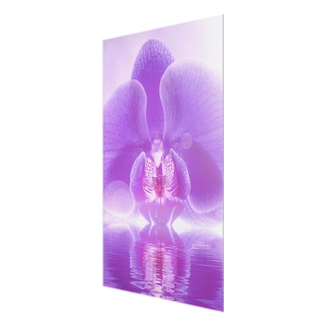 Cuadros flores Purple Orchid On Water