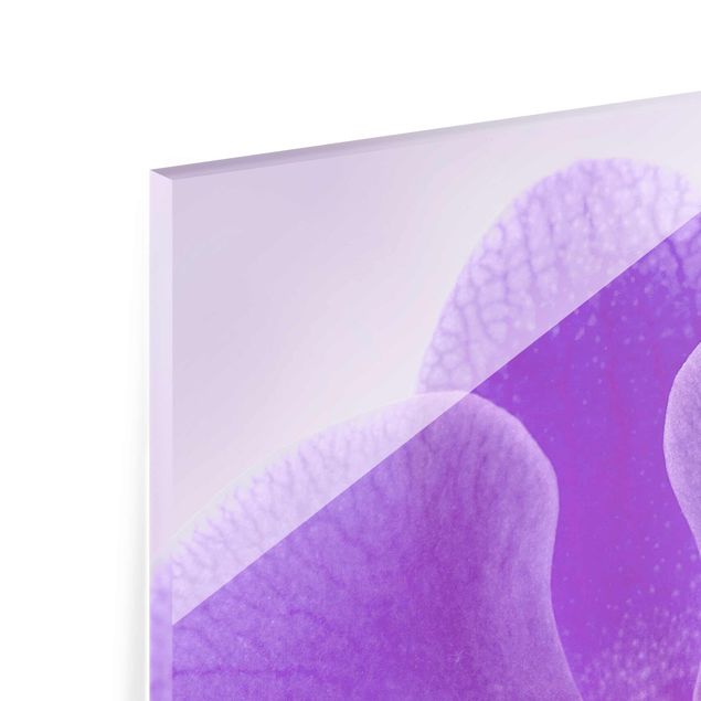 Tableros magnéticos de vidrio Purple Orchid On Water