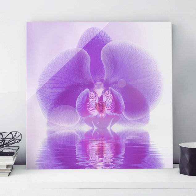 Cuadros de cristal orquídeas Purple Orchid On Water