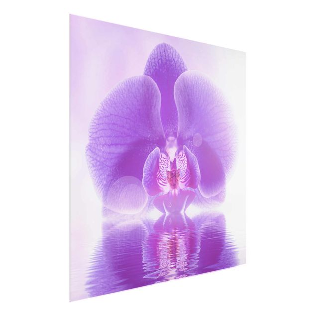 Cuadros de cristal flores Purple Orchid On Water