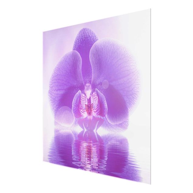 Cuadros flores Purple Orchid On Water
