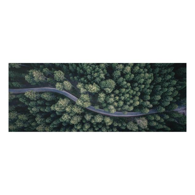 Cuadros naturaleza Aerial View - Forest Road From The Top