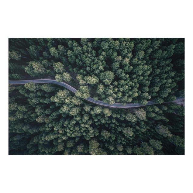 Cuadros paisajes naturaleza Aerial View - Forest Road From The Top