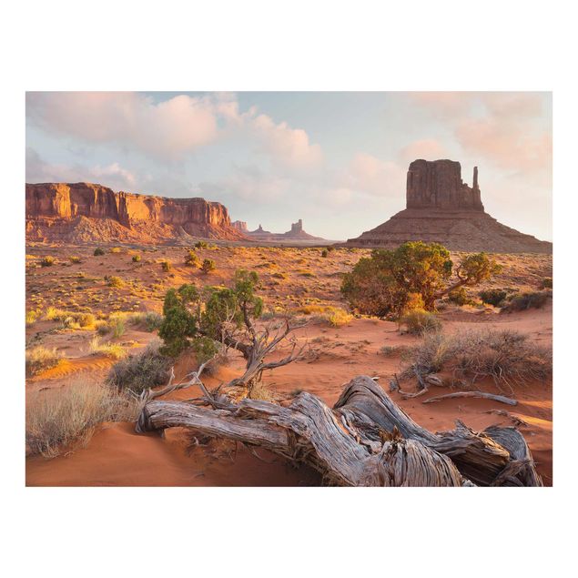 Cuadros de cristal paisajes Monument Valley Navajo Tribal Park Arizona