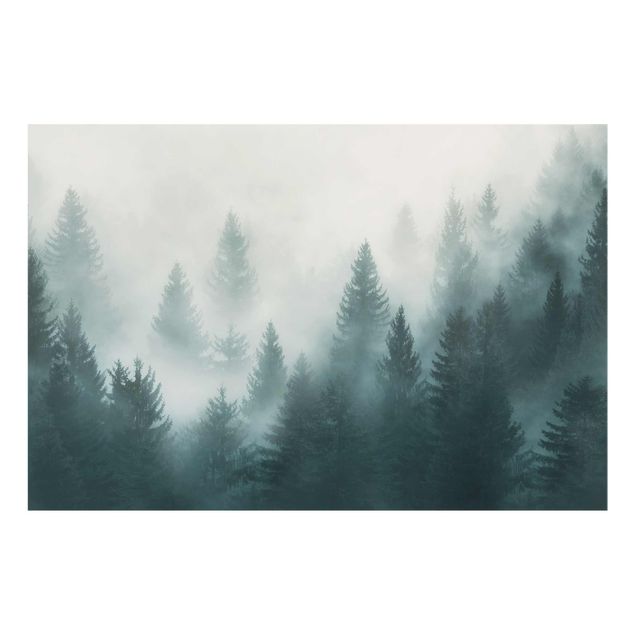 Cuadros de naturaleza Coniferous Forest In Fog