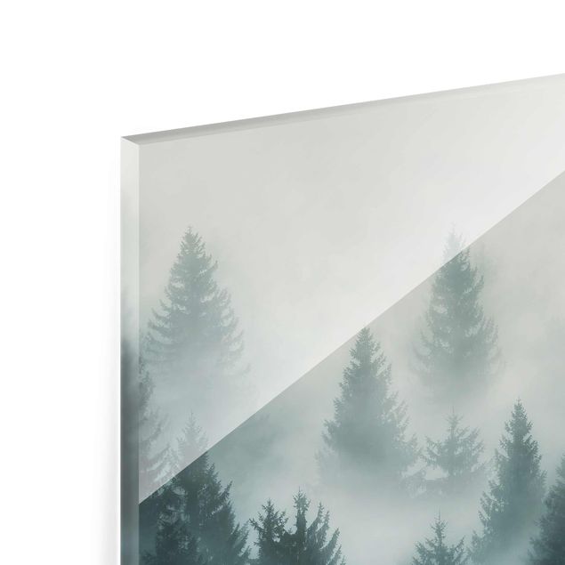Cuadros modernos Coniferous Forest In Fog