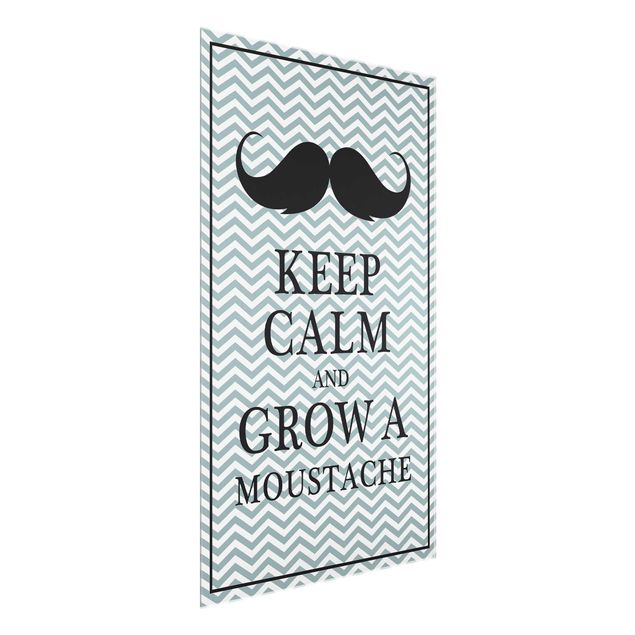 Cuadros modernos y elegantes Keep Calm and Grow a Moustache