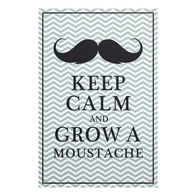 Cuadros modernos Keep Calm and Grow a Moustache