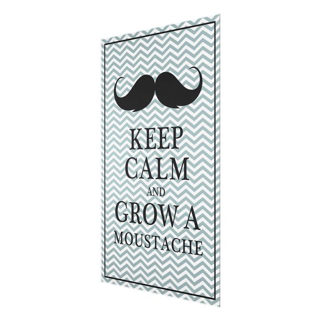 Tableros magnéticos de vidrio Keep Calm and Grow a Moustache