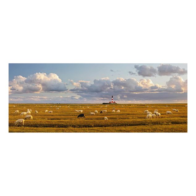 Cuadros de naturaleza North Sea Lighthouse With Flock Of Sheep