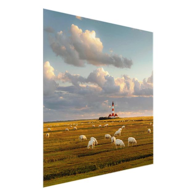 Cuadros de cristal animales North Sea Lighthouse With Flock Of Sheep