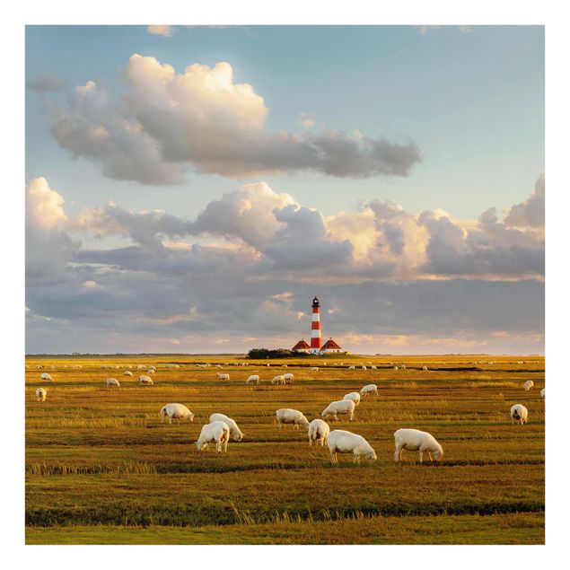 Cuadros paisajes naturaleza North Sea Lighthouse With Flock Of Sheep