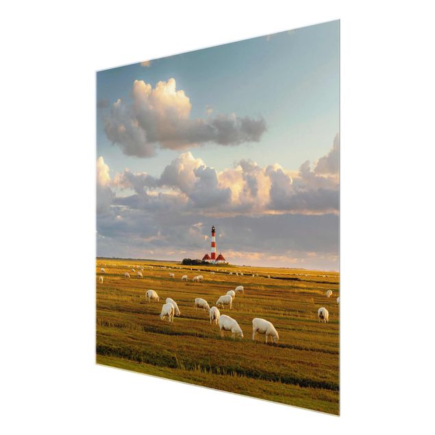 Cuadro verde North Sea Lighthouse With Flock Of Sheep
