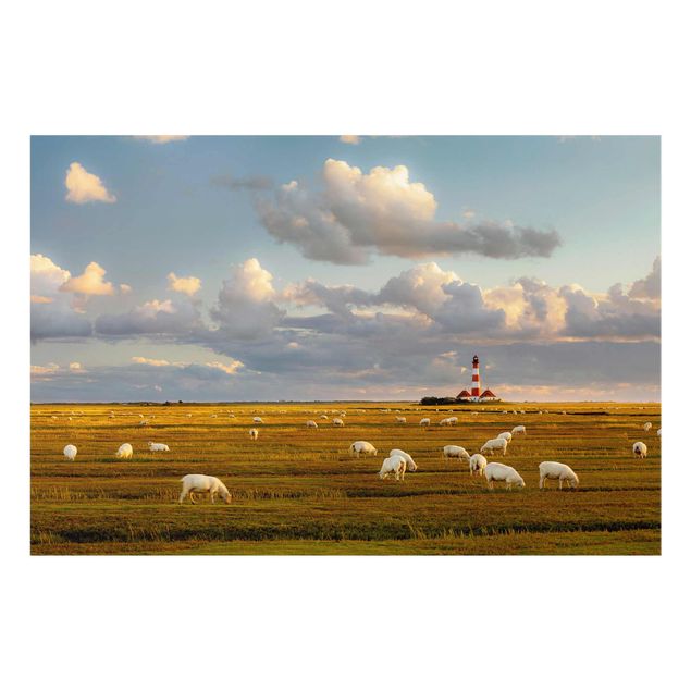 Cuadros naturaleza North Sea Lighthouse With Flock Of Sheep