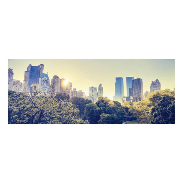 Cuadros ciudades Peaceful Central Park