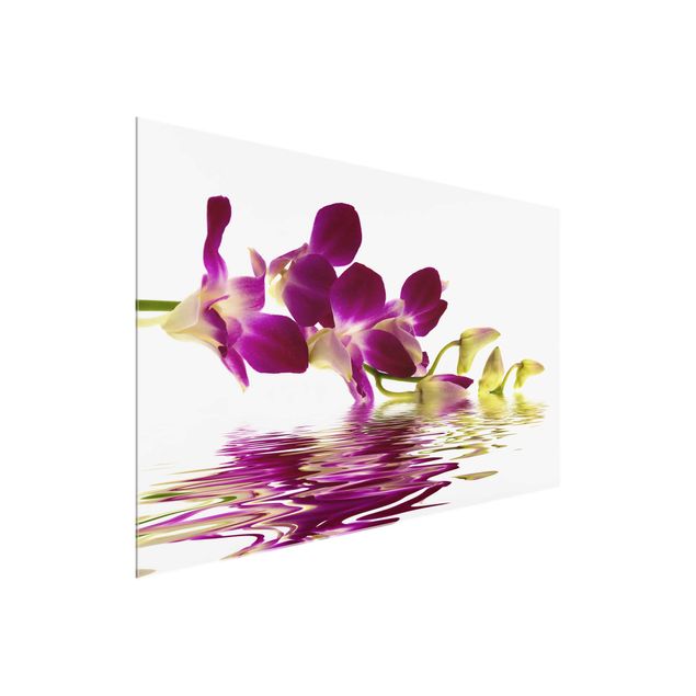 Cuadros de cristal flores Pink Orchid Waters