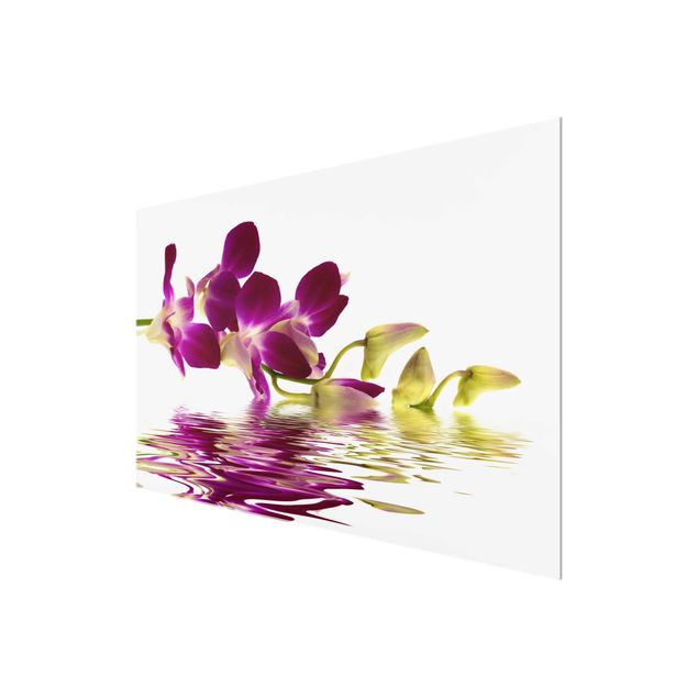 Cuadros de flores Pink Orchid Waters