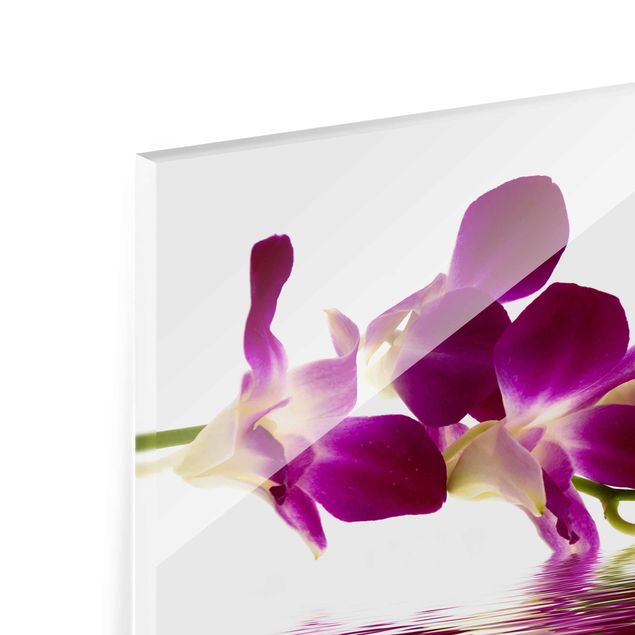 Tableros magnéticos de vidrio Pink Orchid Waters