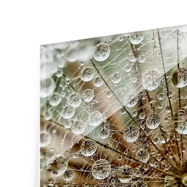 Tableros magnéticos de vidrio Dandelion In Autumn