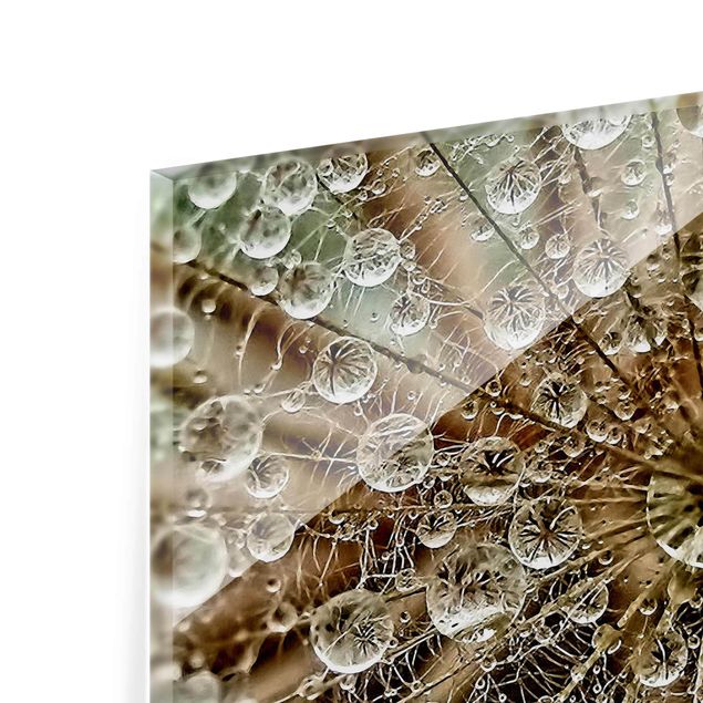 Tableros magnéticos de vidrio Dandelion In Autumn