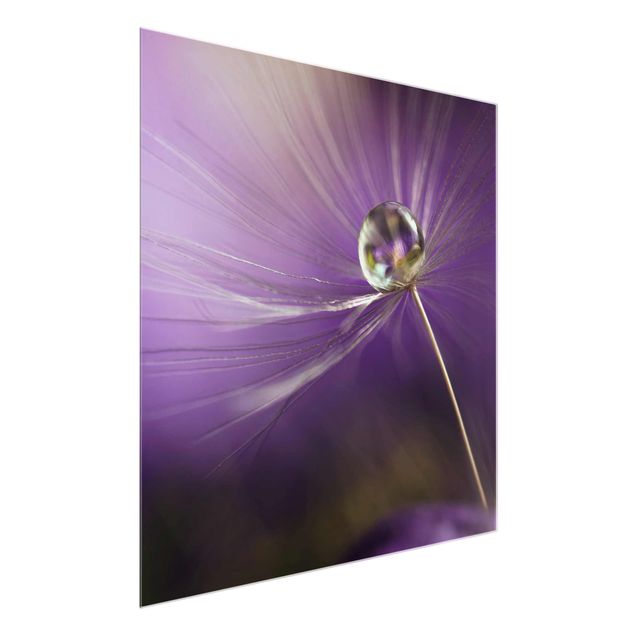 Cuadros de plantas Dandelion In Violet
