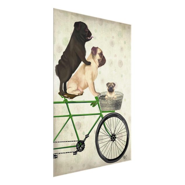 Cuadros retro Cycling - Pugs On Bike