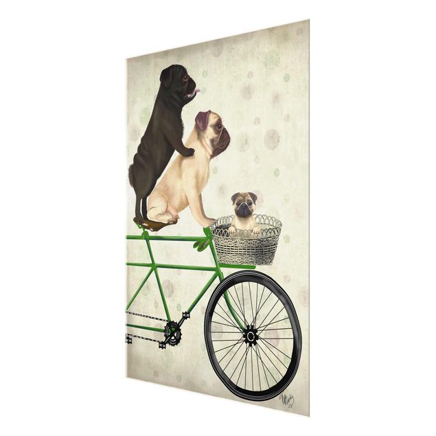 Cuadros Cycling - Pugs On Bike