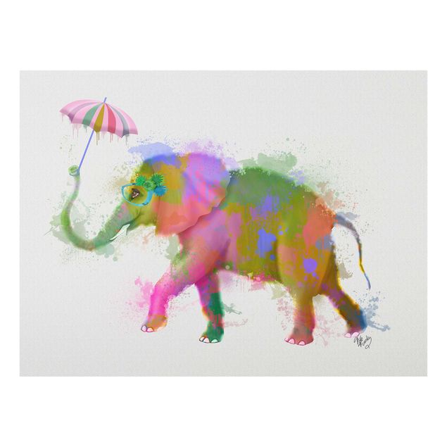 Cuadros de animales Rainbow Splash Elephant