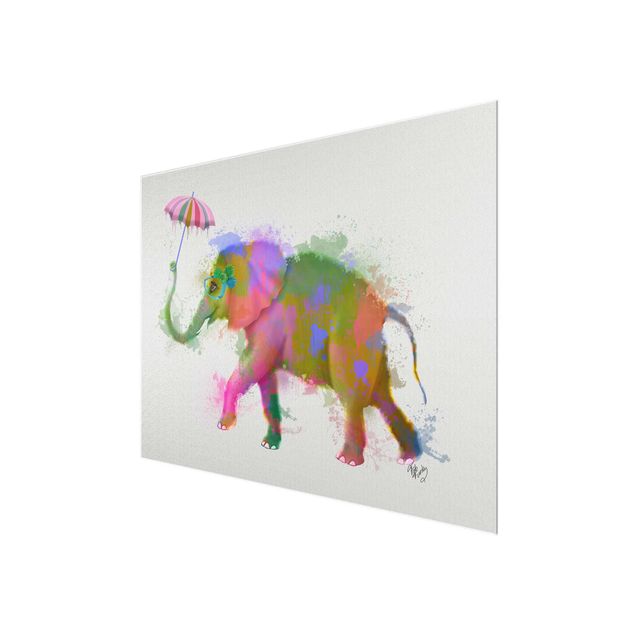 Cuadros multicolor Rainbow Splash Elephant