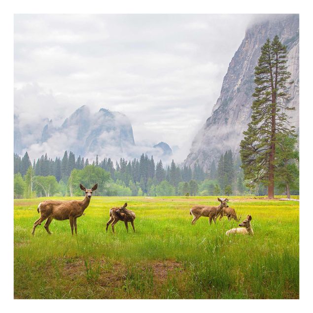Cuadros de cristal paisajes Deer In The Mountains