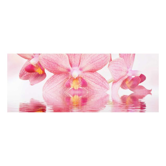 Cuadros plantas Light Pink Orchid On Water
