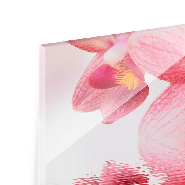 Tableros magnéticos de vidrio Light Pink Orchid On Water