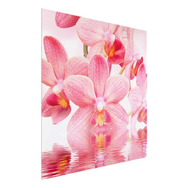 Cuadros de cristal flores Light Pink Orchid On Water