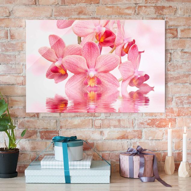 Cuadros de cristal orquídeas Light Pink Orchid On Water