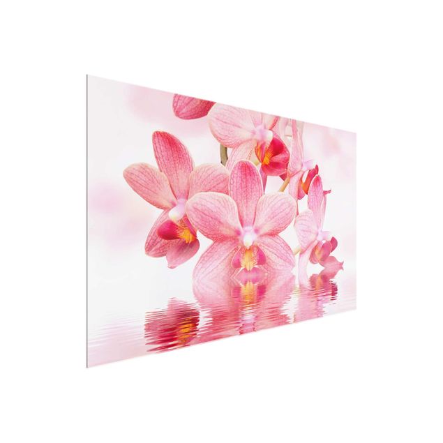 Cuadros de cristal flores Light Pink Orchid On Water