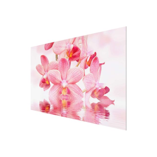 Cuadros de flores Light Pink Orchid On Water