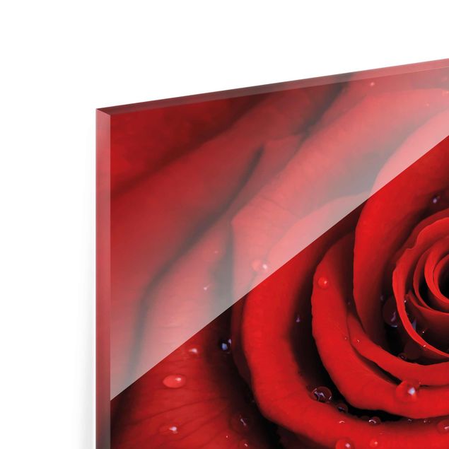 Tableros magnéticos de vidrio Red Rose With Water Drops