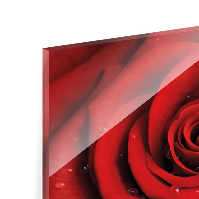 Tableros magnéticos de vidrio Red Rose With Water Drops