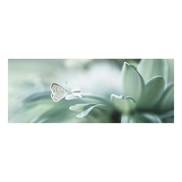 Cuadros de flores modernos Butterfly And Dew Drops In Pastel Green