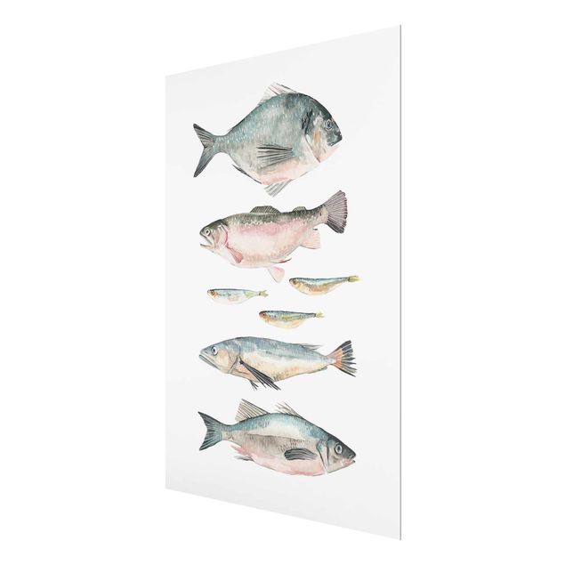 Cuadros decorativos Seven Fish In Watercolour II