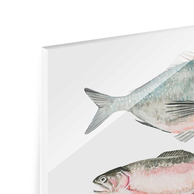 Tableros magnéticos de vidrio Seven Fish In Watercolour II