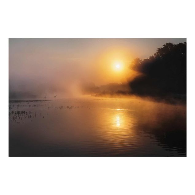 Cuadros decorativos modernos Sunrise on the lake with deers in the fog