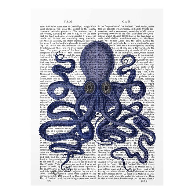 Cuadro azul Animal Reading - Octopus