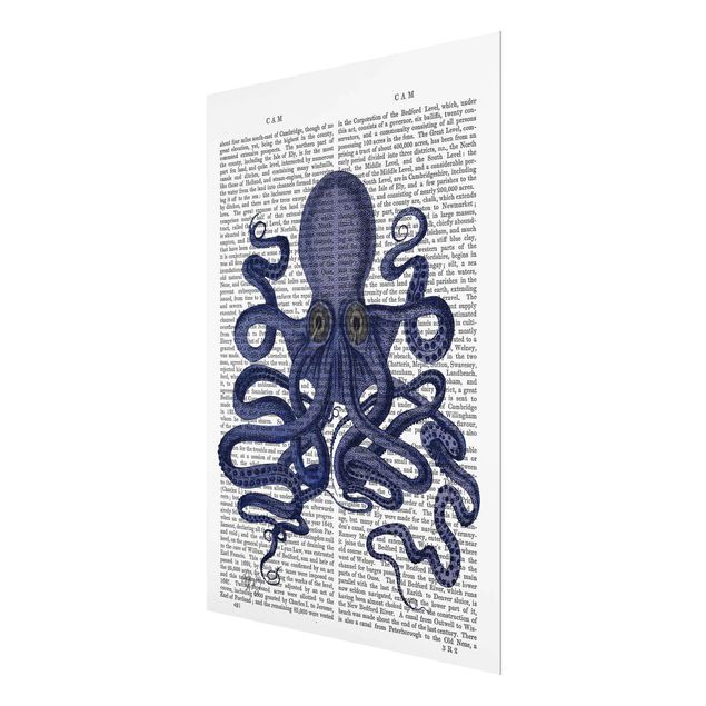 Cuadros decorativos Animal Reading - Octopus