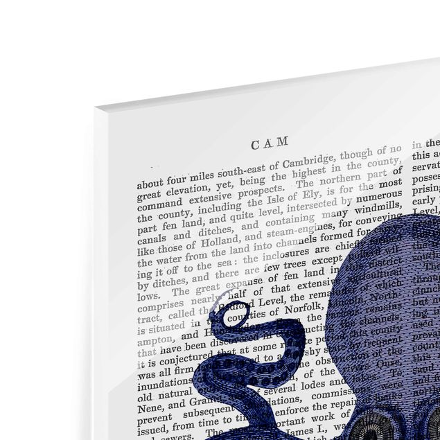 Tableros magnéticos de vidrio Animal Reading - Octopus