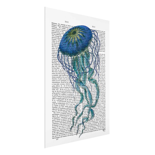 Cuadros con frases Animal Reading - Jellyfish