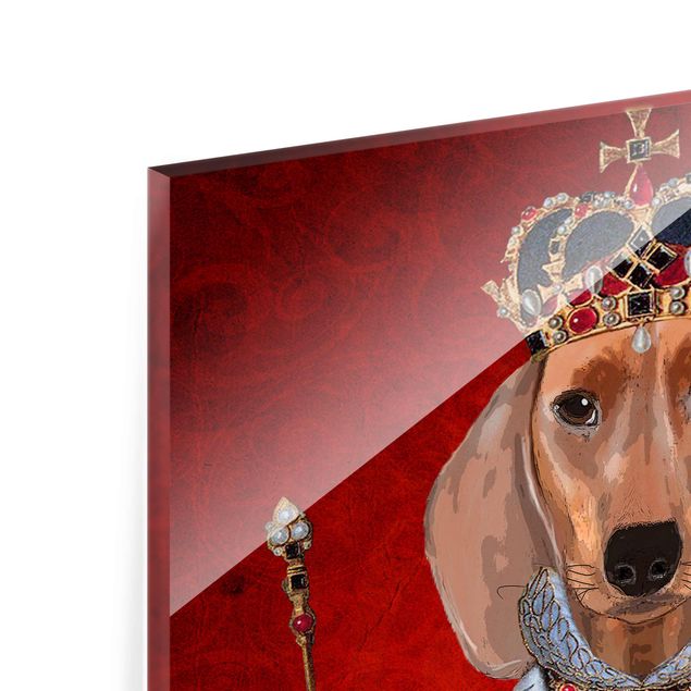 Tableros magnéticos de vidrio Animal Portrait - Dachshund Queen