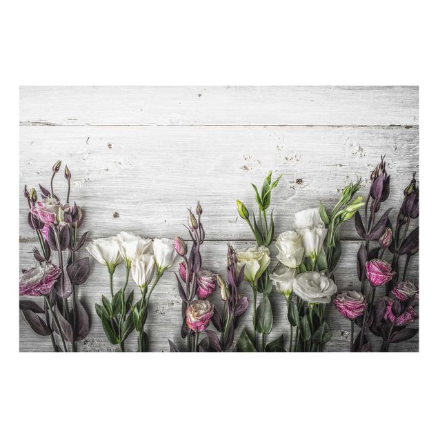 Cuadros de flores Tulip Rose Shabby Wood Look