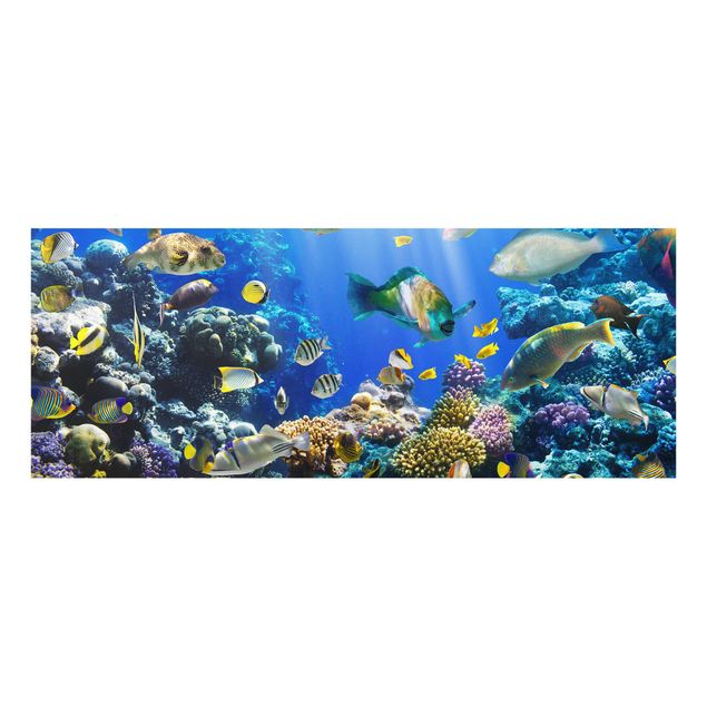 Cuadros de cristal paisajes Underwater Reef