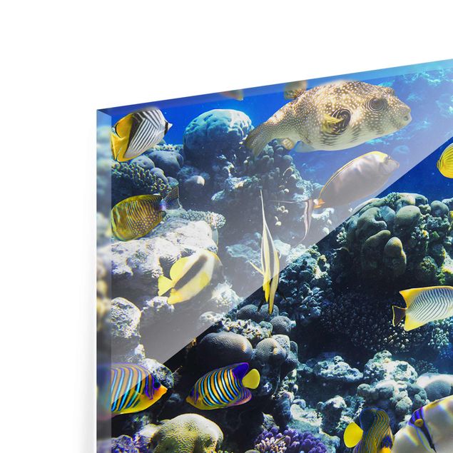 Cuadros azules Underwater Reef